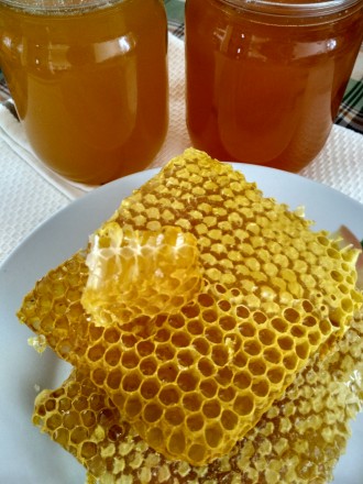 Мед натуральний, з власної пасіки Майський (Різнотрав’я). Ціна за 3 л.. . фото 2