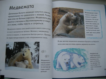Продам новую детскую книгу «Зима в зоопарке» Д.Джонсон.

Обложка: твердая
Фор. . фото 6