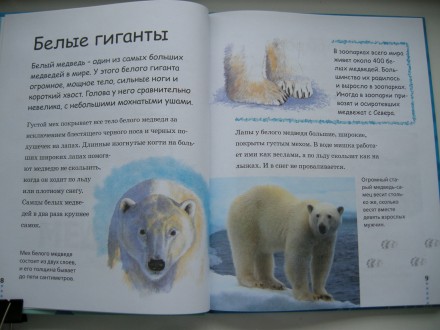 Продам новую детскую книгу «Зима в зоопарке» Д.Джонсон.

Обложка: твердая
Фор. . фото 4