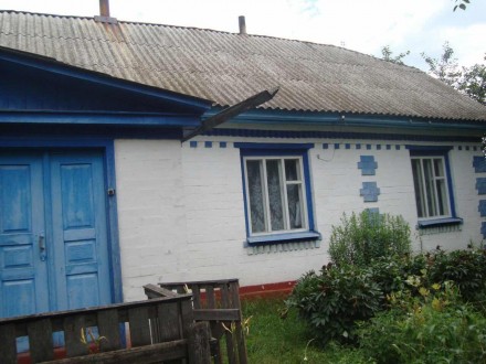Срочно продам большой, уютный дом в с. Авдеевка Черниговской области Сосницкий р. . фото 7