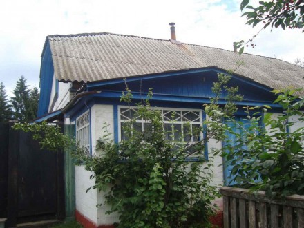 Срочно продам большой, уютный дом в с. Авдеевка Черниговской области Сосницкий р. . фото 2