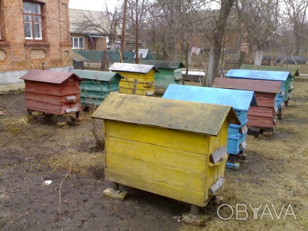 Продам две пчелосемьи с ульями. Семьи на зиму шли с 12 рамками, обсиженных пчела. . фото 1