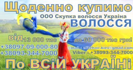продать волосы от 30см в киеве возможно нашей компании Скупка волос по всей Укра. . фото 3