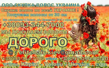 продать волосы от 30см в киеве возможно нашей компании Скупка волос по всей Укра. . фото 2