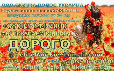 продать волосы от 30см в киеве возможно нашей компании Скупка волос по всей Укра. . фото 1