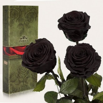 Три долгосвежих розы Черный Бриллиант 7 карат короткий стебель (120285)
Удивител. . фото 2