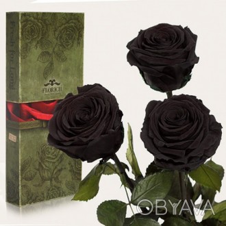 Три долгосвежих розы Черный Бриллиант 7 карат короткий стебель (120285)
Удивител. . фото 1