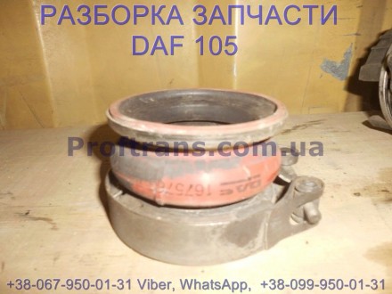 1675763 Патрубок турбины резиновый Daf XF 105 Даф ХФ 105. Разборка Daf XF 105.
. . фото 2