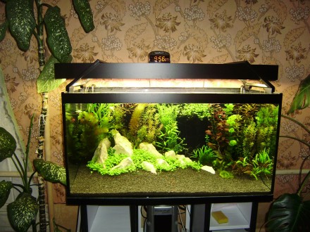 Корпус светильника предназначенный для открытого аквариума.Открытые аквариумы ве. . фото 11