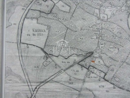 Продам приватизированный земельный участок в Киенке (пригород Чернигова) , общей. Киенка. фото 3