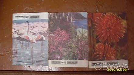 Журналы "Юный Натуралист" за 1982 г. номера 2,7; за 1972 г. -№ 12; за 1978 г. № . . фото 1
