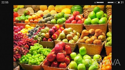 Продам Семена овощных культур, а также кустарники, плодово-ягодные деревья, хвой. . фото 1