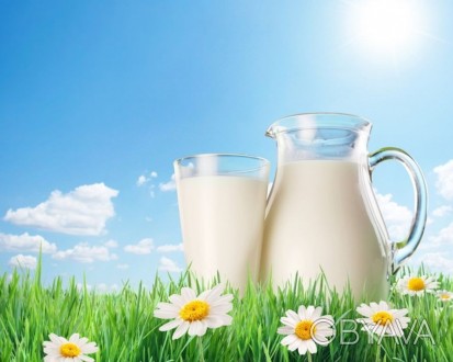 Пропоную домашнє молоко від гарних корів. Молоко смачне та жирне. Доставка по м.. . фото 1