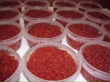 Икра красная реализуется в пищевом пластиковом контейнере 500 гр. с пломбой​ !
. . фото 3