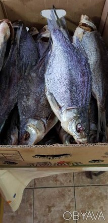 Рыбоперерабатывающее предприятие реализует речную вяленую и копченую рыбу в ассо. . фото 1