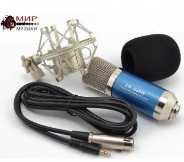 Емкостной микрофон
Тип: конденсаторный
Направленность: кардиоида
Частотный ди. . фото 2
