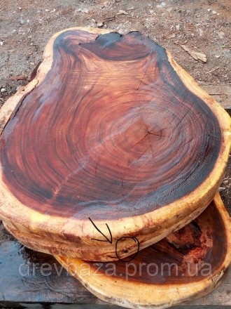 стіл порода дерева манкіпод (поперечний зріз стовбура) покриття масло OSMO. . фото 3