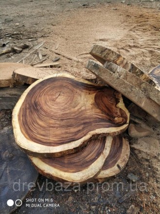 стіл порода дерева манкіпод (поперечний зріз стовбура) покриття масло OSMO. . фото 4