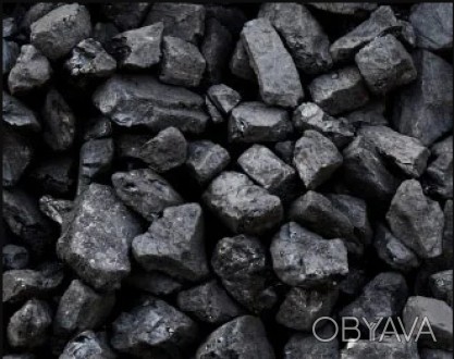 Предприятие реализует уголь марки АО.

1 тонна - 5 600 грн. с НДС Вагонными но. . фото 1