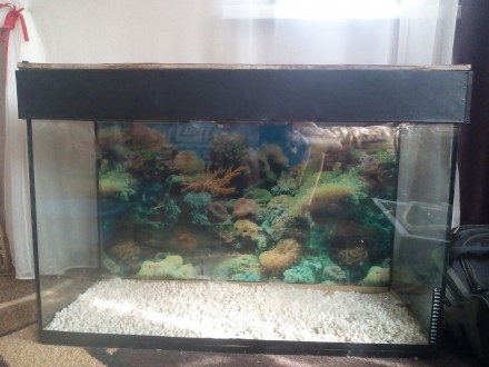 Продам большой красивый аквариум на 190 литров в отличном состоянии ( крышку дел. . фото 7