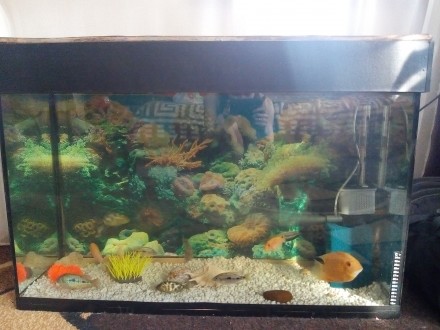 Продам большой красивый аквариум на 190 литров в отличном состоянии ( крышку дел. . фото 3