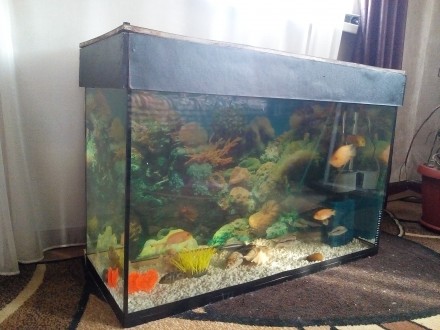 Продам большой красивый аквариум на 190 литров в отличном состоянии ( крышку дел. . фото 2