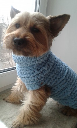 Продаю вязанные свитерки для собак маленьких пород,есть в наличии модельки и мож. . фото 9
