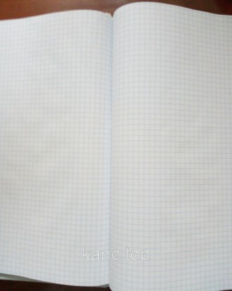 Тетрадь в клетку, блок прошит нитками. Плотность бумаги 65г/м2. Обложка с ламина. . фото 3