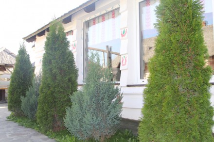 Продається новозбудований ( в грудні 2015 року) комерційний об’єкт з земельною д. Берегово. фото 13