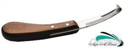 Копитні ножі - використовую для зрізання з копита корів або коней надлишкових аб. . фото 1