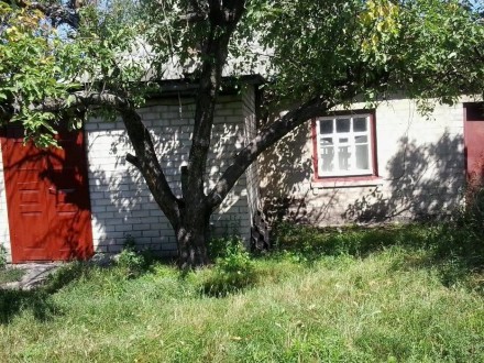 Продам дом на ул.Ткаченко, р-н Загребля,кирп.,на 2 входа, отопление печное и газ. . фото 2