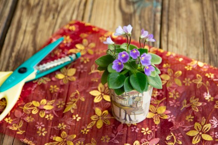 Предлагаю  цветущие мини фиалки к празднику. Станут отличным подарком или приятн. . фото 10