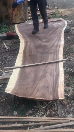 Деревянный сляб(поперечный и продольный срез)дерева Манки под обладает уникальны. . фото 4
