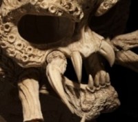 Прекрасный череп Хищника с ручной доработкой.Пропорции 1:1.Череп средней особи.М. . фото 5