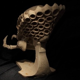 Прекрасный череп Хищника с ручной доработкой.Пропорции 1:1.Череп средней особи.М. . фото 11