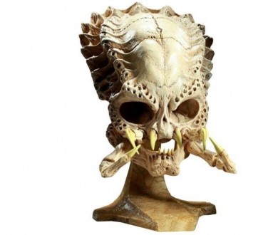 Прекрасный череп Хищника с ручной доработкой.Пропорции 1:1.Череп средней особи.М. . фото 8