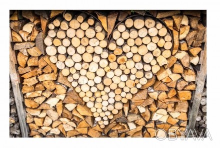 Колотые дубовые (сосновые, берёзовые) дрова по цене заготовщика в Буче! Наша ком. . фото 1