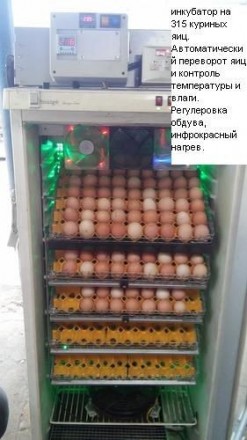 Инубатор на 315 яиц. Обеспечивает автоматический переворот яиц, автоматический к. . фото 3