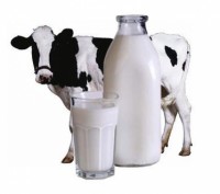 Фермерское хозяйство продает оптом цельное молоко от коров. Возможно с доставкой. . фото 2