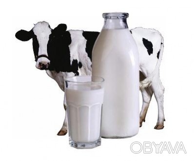 Фермерское хозяйство продает оптом цельное молоко от коров. Возможно с доставкой. . фото 1