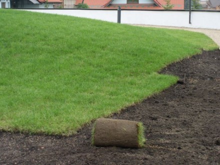 90 гривен кв метр, газон рулонный+подготовка почвы, укладка ,свыше 100 метров ск. . фото 3