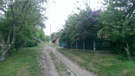 Продам дом в Новомиргороде, по ул. Паши Ангелиной дом 30, тихое, очень уютное ме. . фото 3
