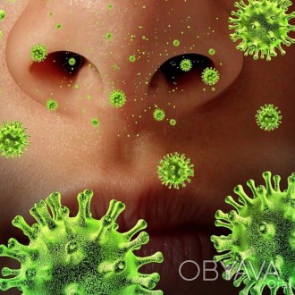 Производим дезинфекцию (санацию) от вирусов и бактерий любого типа. в различных . . фото 1