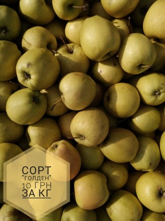 Доброго дня. Пропонуємо безкоштовну доставку  яблук, гранат, мандарин у місті Ст. . фото 7