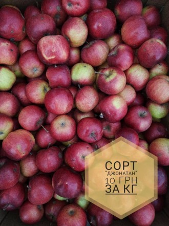 Доброго дня. Пропонуємо безкоштовну доставку  яблук, гранат, мандарин у місті Ст. . фото 2