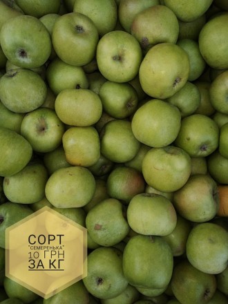 Доброго дня. Пропонуємо безкоштовну доставку  яблук, гранат, мандарин у місті Ст. . фото 3