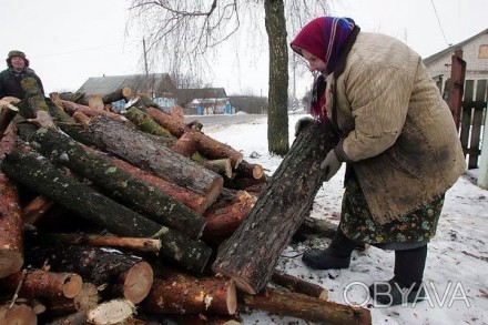 Продам дрова Липы и Ореха. Брёвна длиной 1 - 1,2 метра. Цена 300 грн за ск.метр.. . фото 1