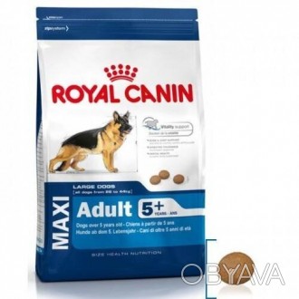 Royal Canin Maxi Adult 5+ (Роял Канин Макси Адалт 5+).Корм понорационный для взр. . фото 1