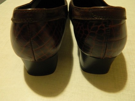 Туфлі нові жіночі шкіряні 38р., каблучок - 3,5 см. Зверху гладка шкіра зкомбінов. . фото 3