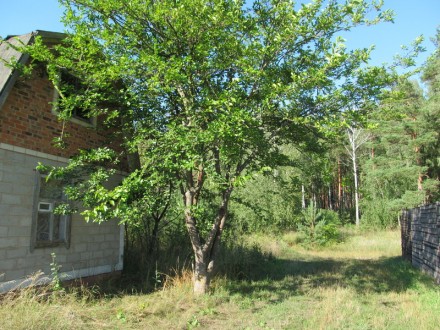 Дача 4х5 метров возле села Мажуговка. Дом теплый с пеноблоков, есть печька, погр. Киенка. фото 7